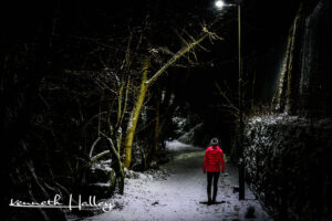 Winter walkway