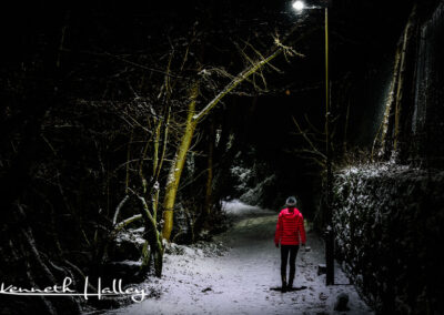 Winter walkway