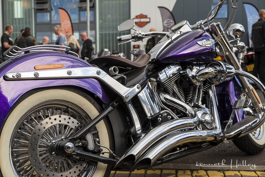 Harley
