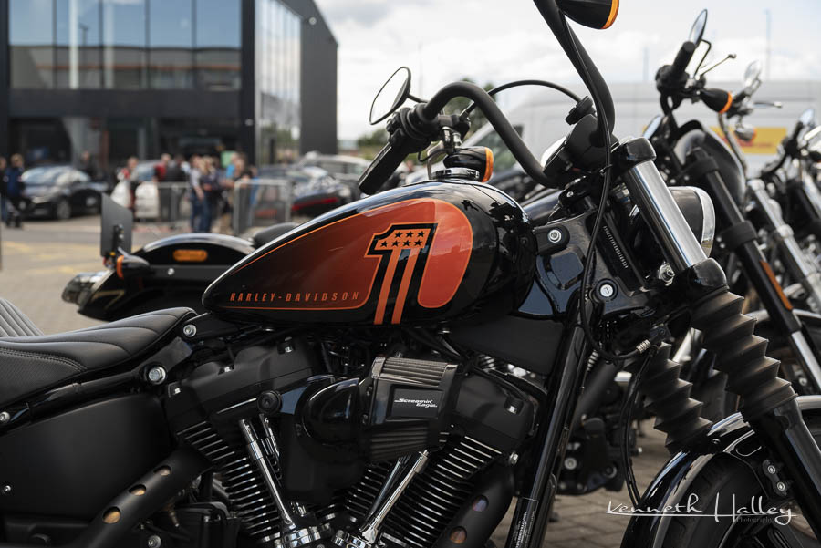 Street Bob