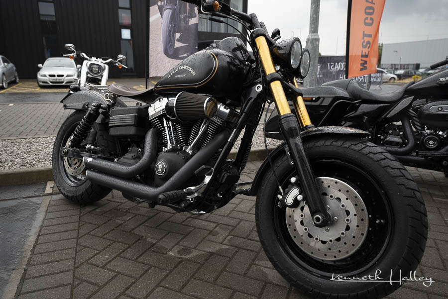 Fat Bob